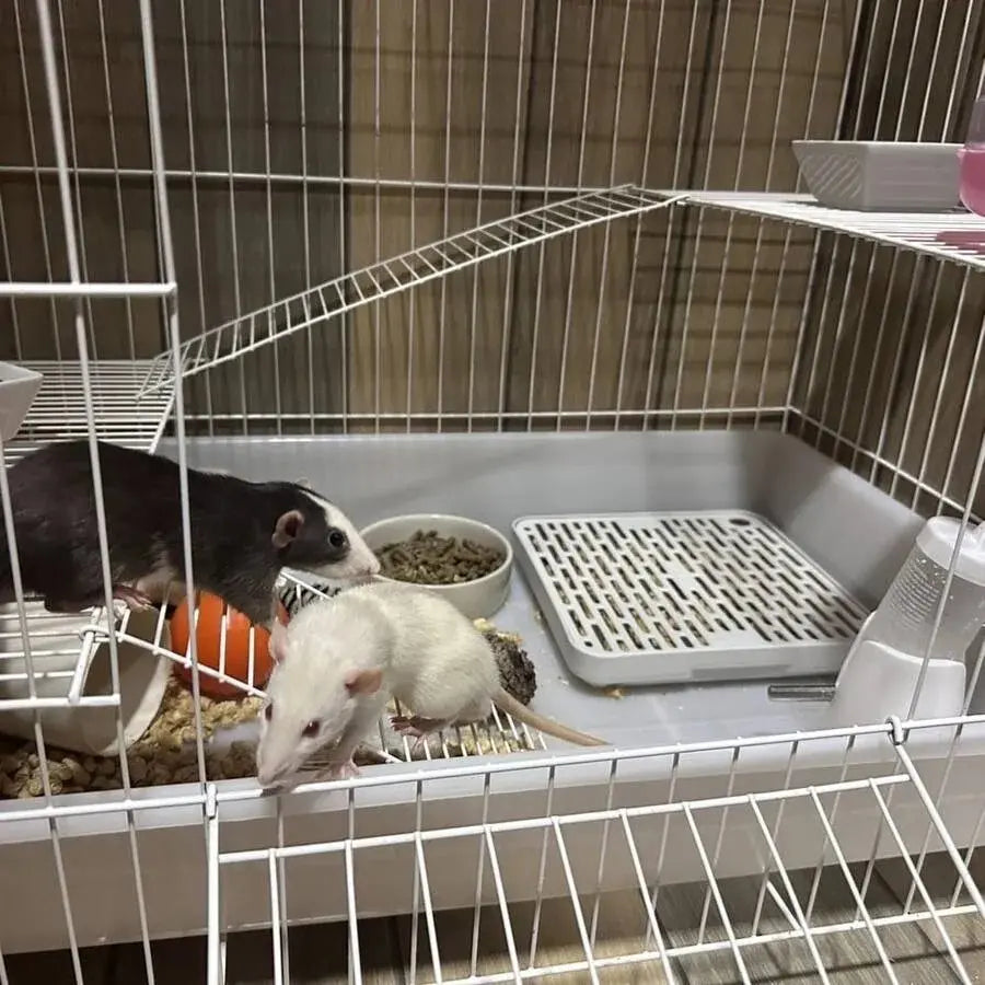 Grid Design Guinea Pig Litter Box, Rabbit Training Cage Toilet with Removable Tray, Hygienic Potty for Hamsters, Ferrets & Bunnies, Cleaning, Easy to Clean
