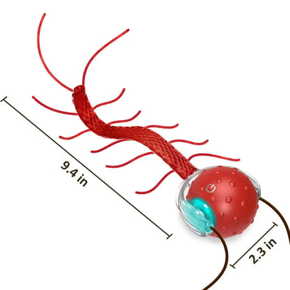 Motorized Interactive Cat Toy - Chirping Sound with Centipede-Style Movement for Indoor Play on Rugs and Carpets
