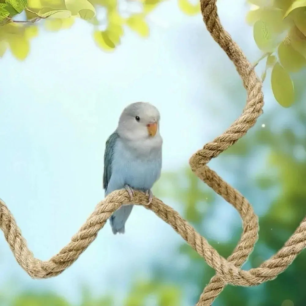 Flexible Bird Perch Rope with Suction Cup, DIY Adjustable Bird Cage Stand, Non-Slip Comfort Grip, Stable Climbing Rope for Birds