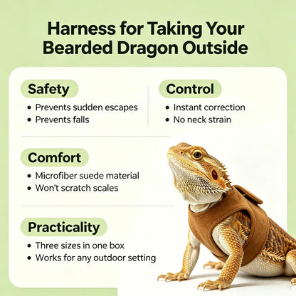Reptile Harness & Leash Set - 3-Size Pack, Adjustable Soft Microfiber Suede Leather with Hook and Loop Design, Standard & High-End Models, Large No-Pull Full Protection Outdoor Universal Harness & Leads for Bearded Dragon Training