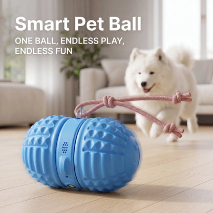 Interactive Automatic Dog Ball Toy – Dual Motors, Voice Recording, Motion Activation, Rope | Rechargeable & Water-Resistant for Small to Medium Dogs