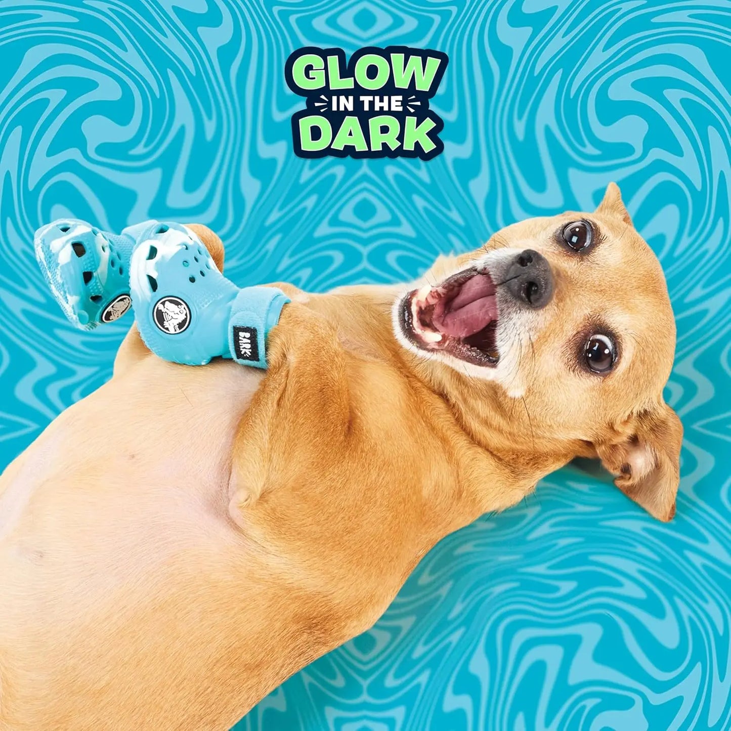 Barkbox - Dog Shoes - Each Box Comes with 4 | EVA Foam with Adjustable Strap, Breathable, Glow-In-Dark