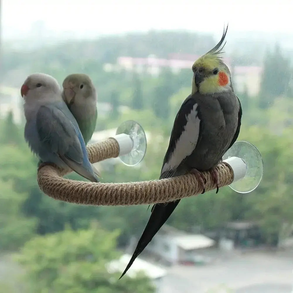 Flexible Bird Perch Rope with Suction Cup, DIY Adjustable Bird Cage Stand, Non-Slip Comfort Grip, Stable Climbing Rope for Birds