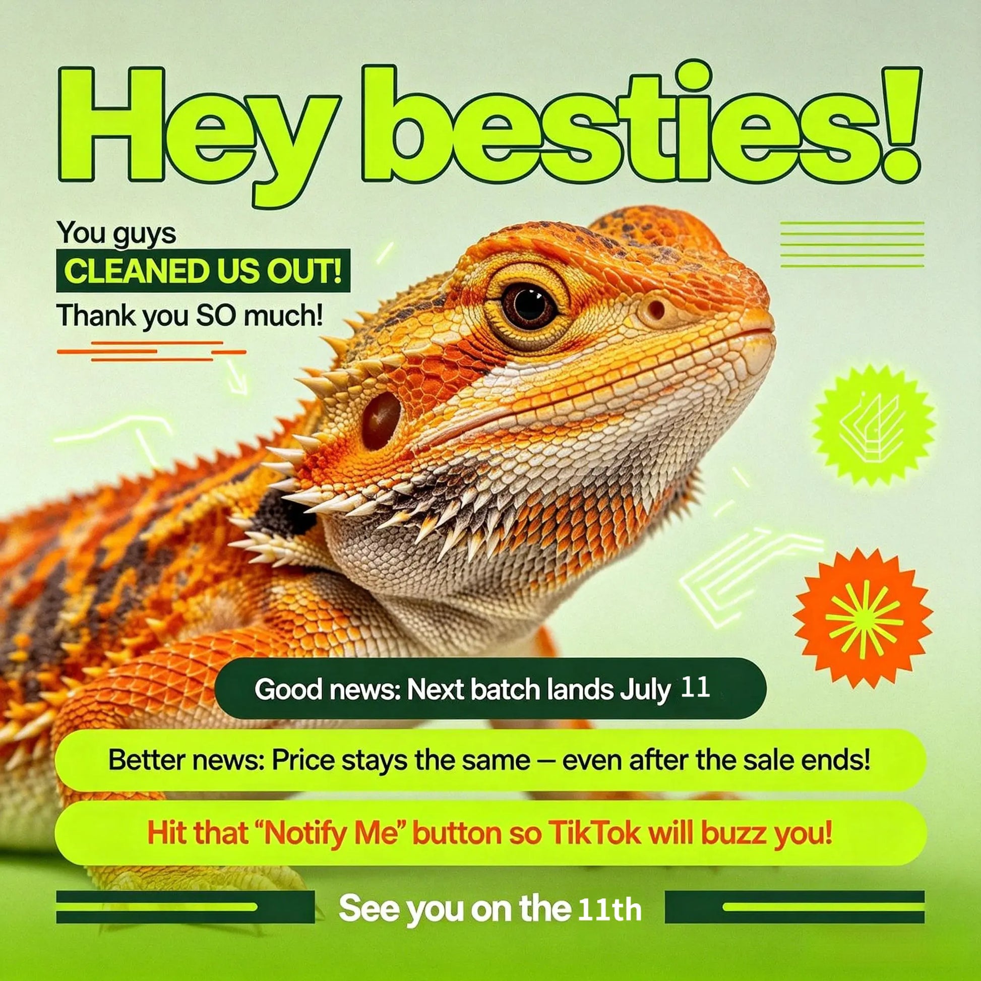 Reptile Harness & Leash Set - 3-Size Pack, Adjustable Soft Microfiber Suede Leather with Hook and Loop Design, Standard & High-End Models, Large No-Pull Full Protection Outdoor Universal Harness & Leads for Bearded Dragon Training
