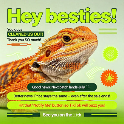 Reptile Harness & Leash Set - 3-Size Pack, Adjustable Soft Microfiber Suede Leather with Hook and Loop Design, Standard & High-End Models, Large No-Pull Full Protection Outdoor Universal Harness & Leads for Bearded Dragon Training